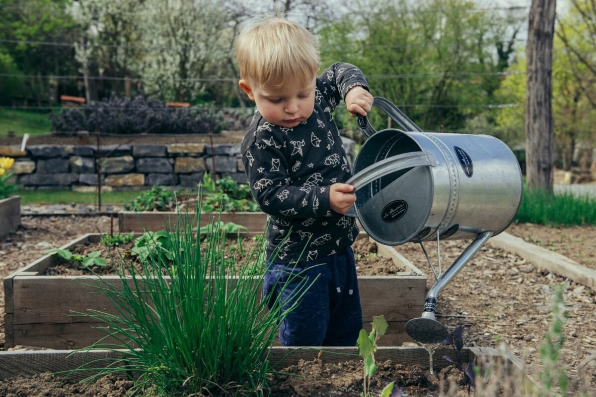 Voorbereide moestuinbed met water en meststoffen.