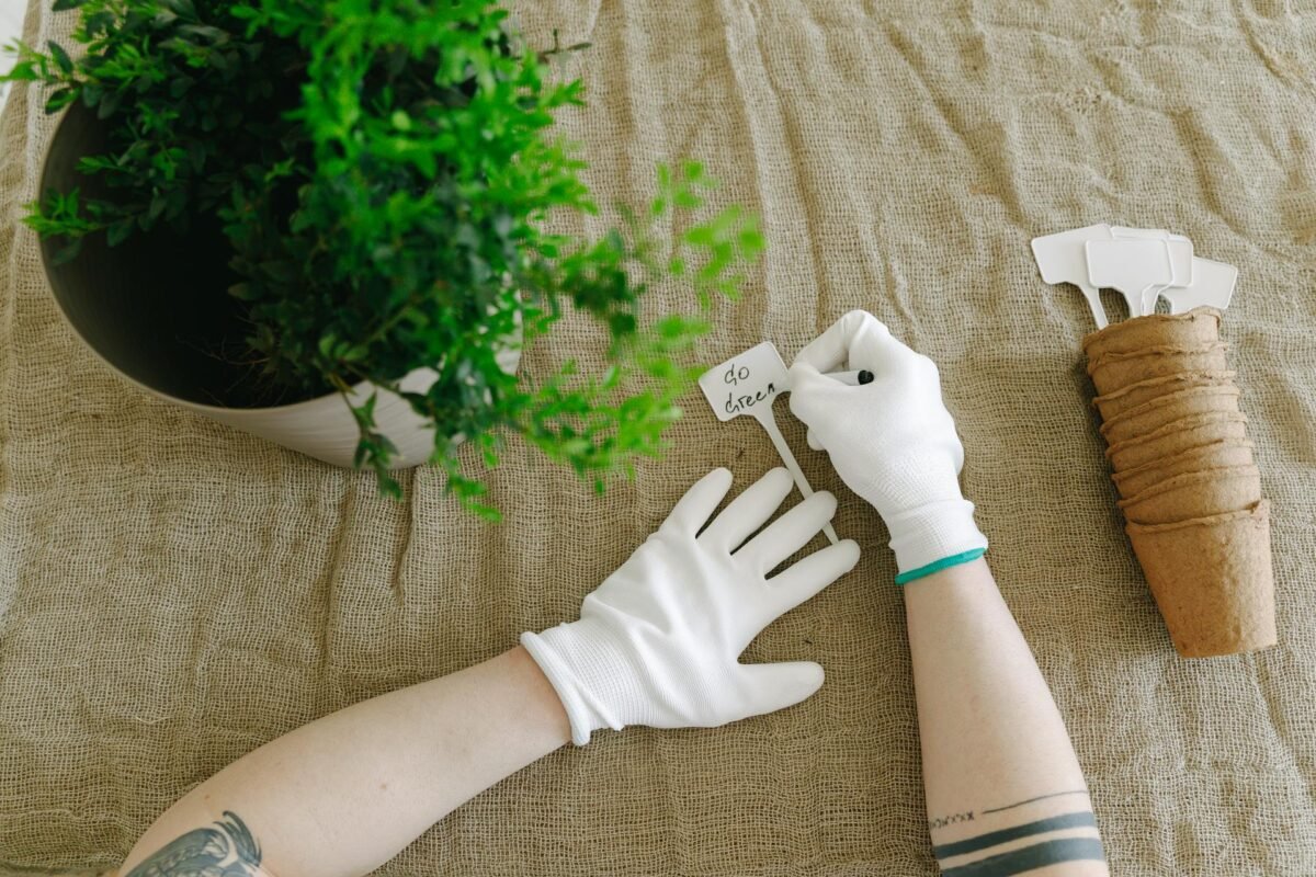 Plantenetiketten markeren de gezaaide rijen in de moestuin